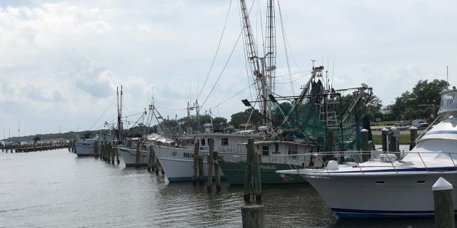 Commercial fishing boats sit in the Pass Christian Harbor