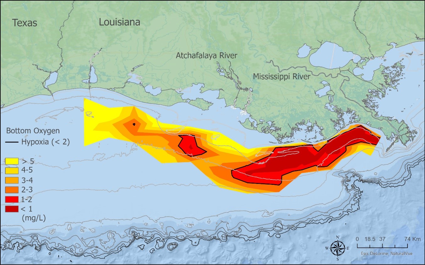 Distribution of bottom-water dissolved oxygen concentration for July