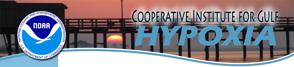 Cooperative Institute for Gulf Hypoxia banner