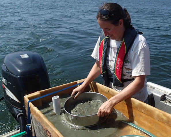 Kelly Dorgan, Ph.D., Senior Marine Scientist, Dauphin Island Sea Lab