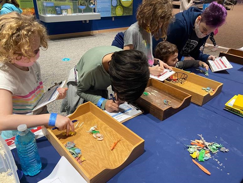 Students finding the fish